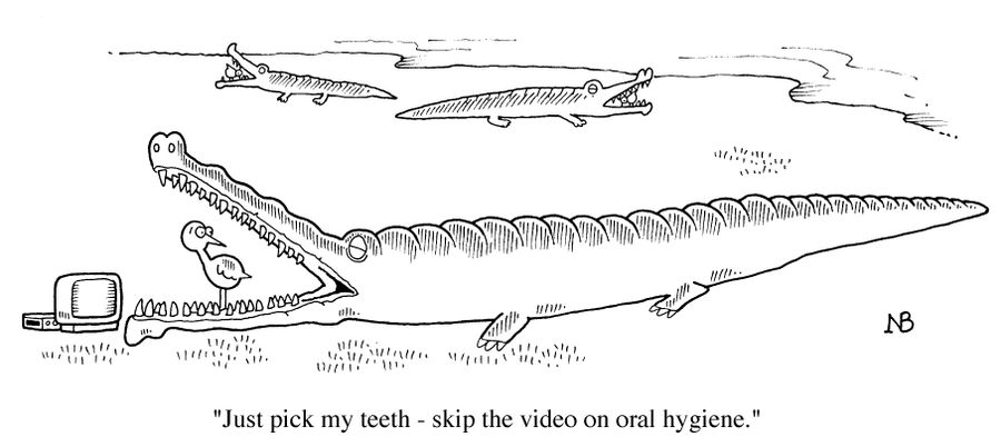 "Skip the Hygiene Video, just pick my teeth."
