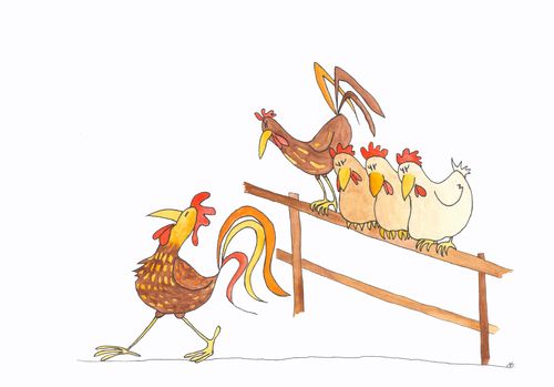 Chickens.