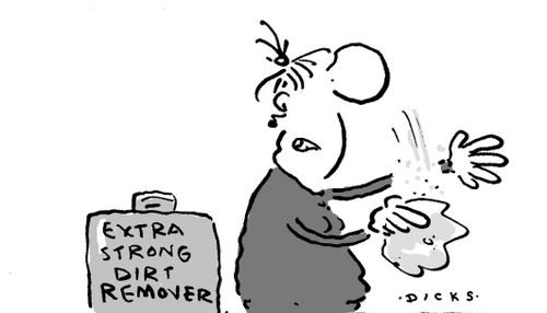 Extra Strong Dirt Remover.