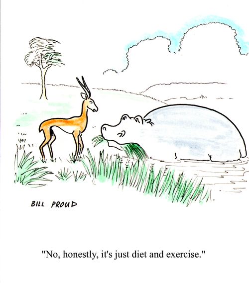 'No, honestly, it's just diet and exercise.'
