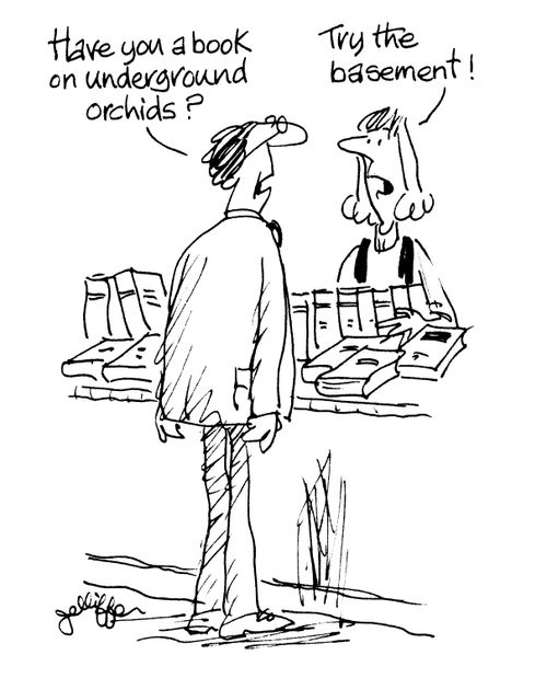 'Have you a book on underground orchids?' 'Try the basement!'