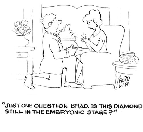 'Just one question Brad. Is this diamond still in the embryonic stage?'
