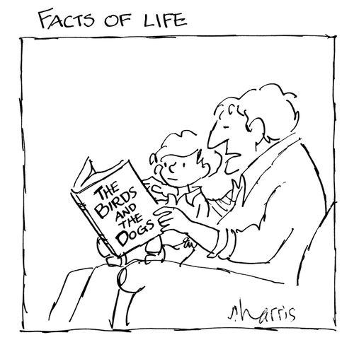Facts of life - The birds and the dogs.