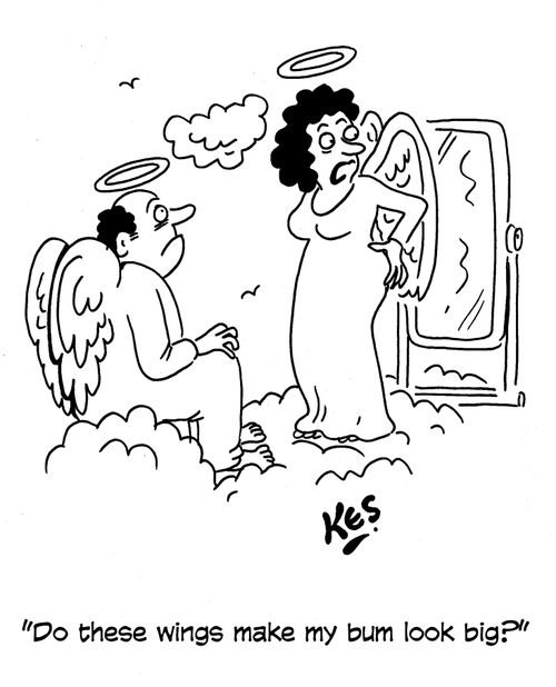 'Do these wings make my bum look big?'