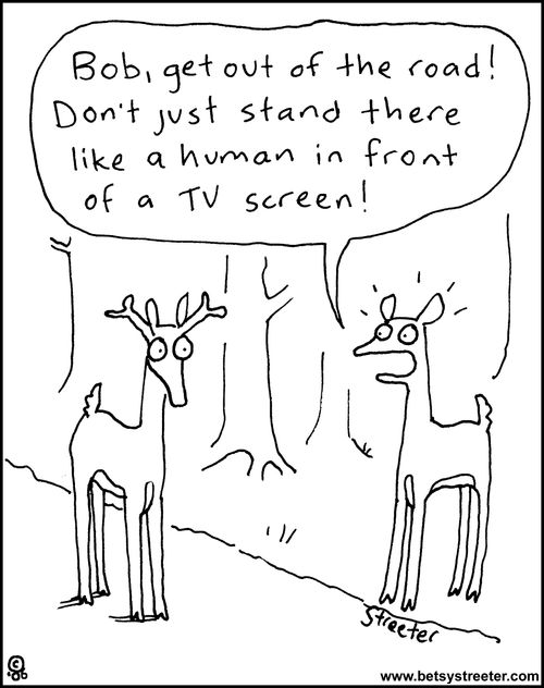 "Bob, get out of the road!  Don't just stand there like a human in front of a TV screen!