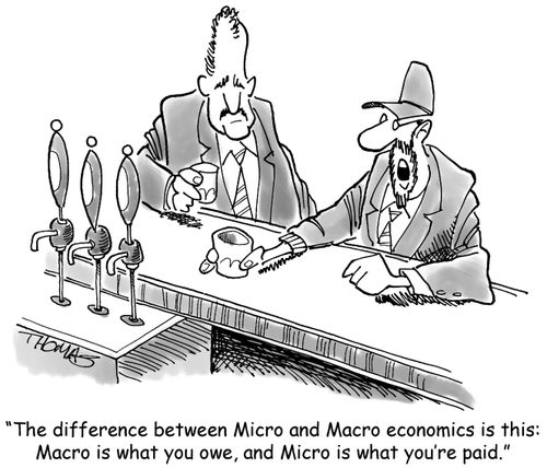 'The difference between Micro and Macro economics is this: Macro is what you owe, and Micro is what you're paid.'