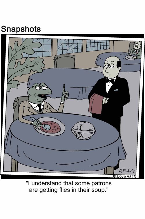 'I understand that some patrons are getting flies in their soup.'