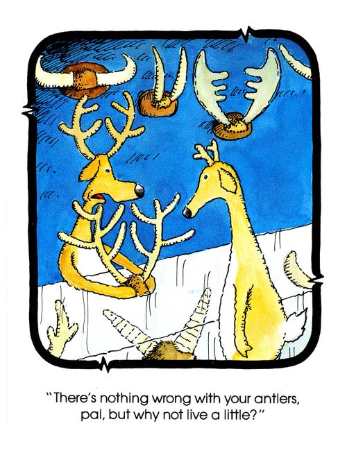 'There's nothing wrong with your antlers, pal, but why not live a little?'