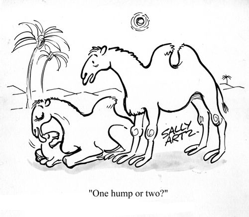 'One hump of two?'