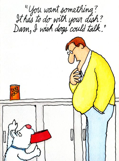 'You want something? It has to do with your dish? Darn, I wish dogs could talk.'