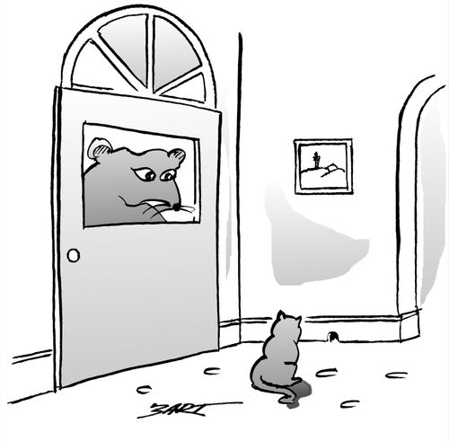 Cat and mouse.