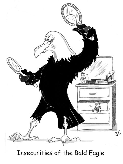 Insecurities of the Bald Eagle.