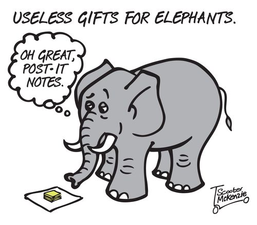 Useless gifts for elephants.