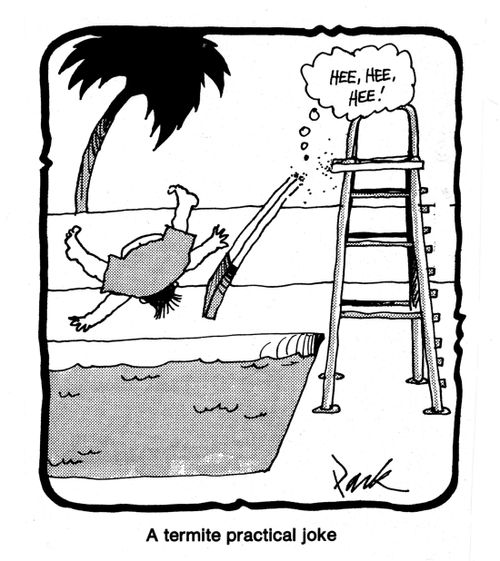 A termite practical joke.