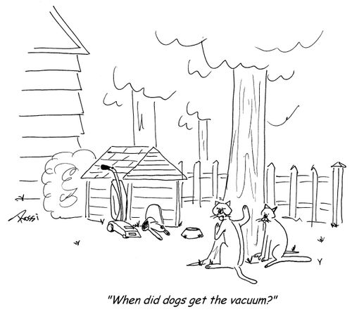 'When did dogs get the vacuum?'