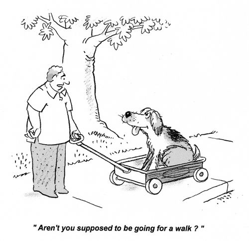 'Aren't you supposed to be going for a walk?'