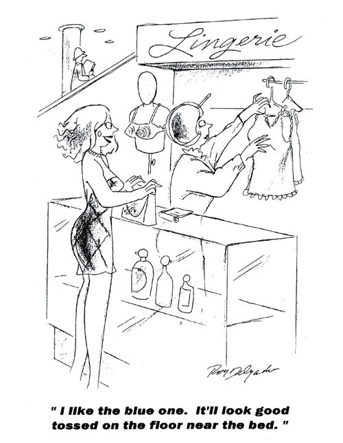 'I like the blue one. It'll look good tossed on the floor near the bed.'