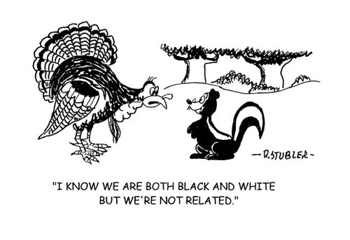'I know we are both black and white but we are not related.'