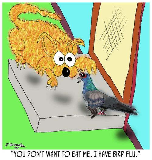 'You don't want to eat me. I have Bird Flu.'