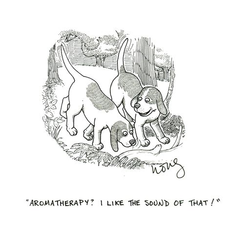 'Aromatherapy? I like the sound of that!'