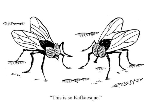 Fly says to another: 'This is so Kafkaesque.'