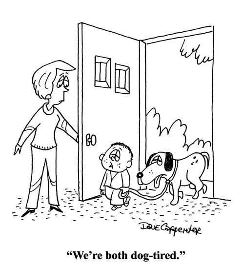 'We're both dog-tired.'