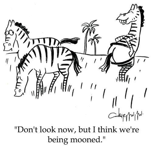 'Don't look now, but I think we're being mooned.'