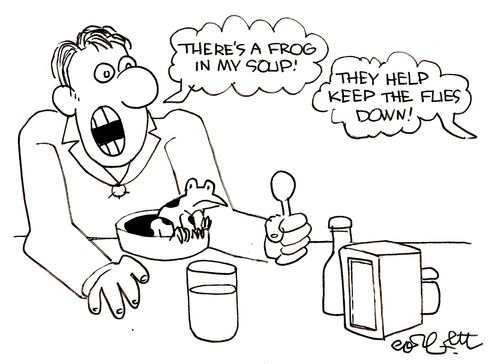 There's a fly in my soup!  They keep the flies down!