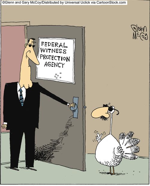 Federal witness protection agency.