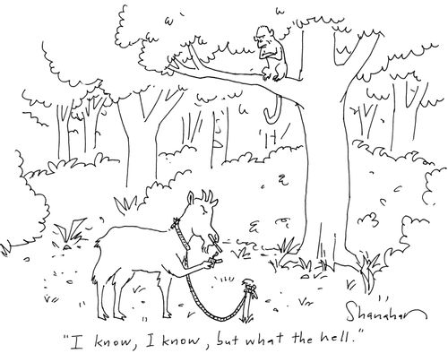 'I know, I know, but what the hell.'