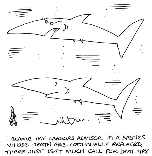 'I blame my careers advisor. In a species whose teeth are continually replaced, there just isn't much call for dentistry.'