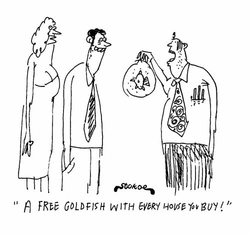 'A free goldfish with every house you buy!'