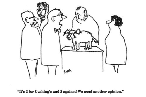 'It's 2 for Cushing's and 2 against!  We need another opinion.'