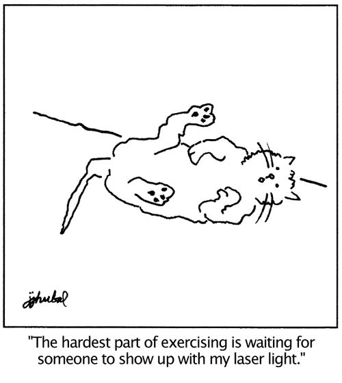 'The hardest part of exercising is waiting for someone to show up with my laser light.'