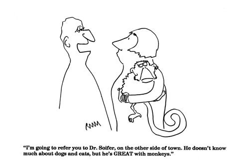 'I'm going to refer you to Dr. Soifer, on the other side of town. He doesn't know much about cats and dogs, but he's GREAT with monkeys!"