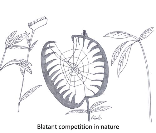 Blatant competition in nature.