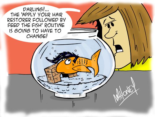 'Darling - your 'Apply your hair restorer and then feed the fish' routine is going to have to change.' 
