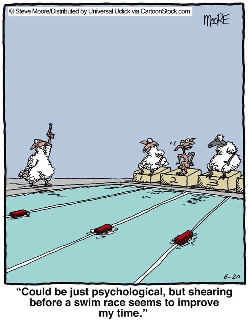 'Could be just psychological, but shearing before a swim race seems to improve my time.'