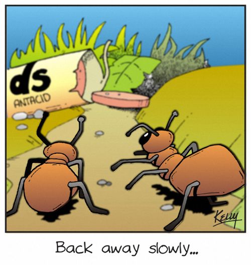'Back away slowly...'