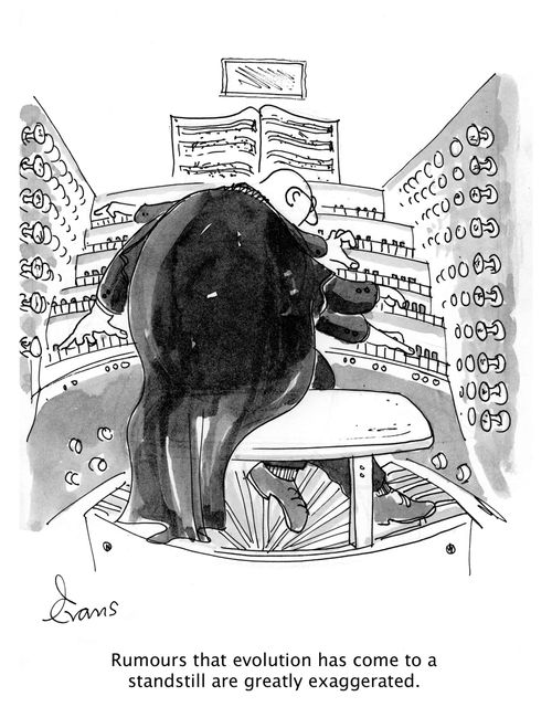 'Rumours that evolution has come to a standstill are greatly exaggerated.'