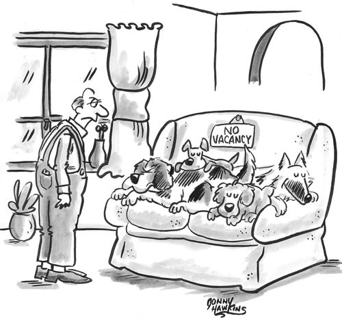 Man sees couch full of dog, sign says 'No Vacancy'.