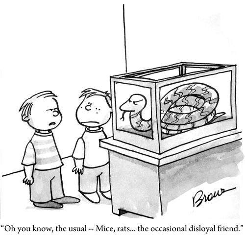 'Oh you know, the usual - Mice, rats... the occasional disloyal friend.'