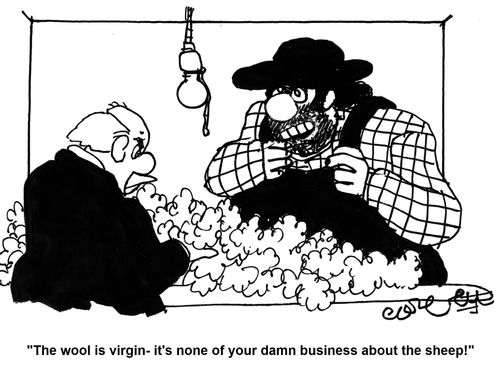 'The wool is virgin - it's none of your damn business about the sheep!'
