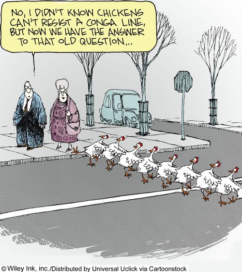 'No, I didn't know chickens can't resist a conga line, but now we have the answer to that old question...'
