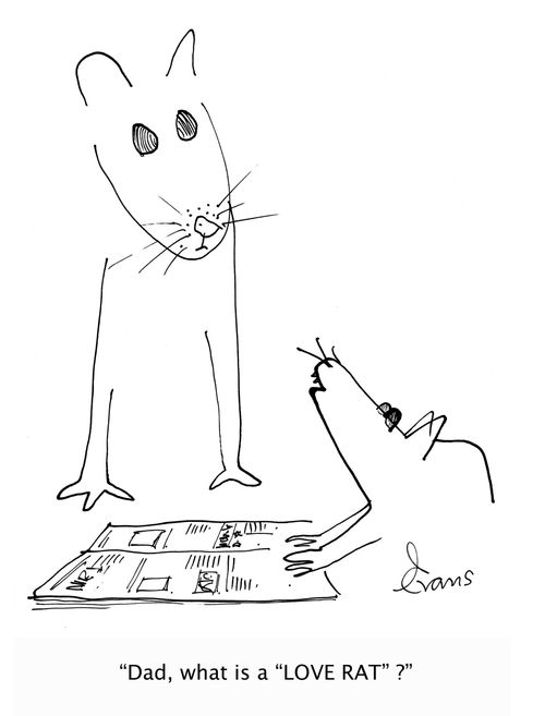 'Dad, what is a 'LOVE RAT'?'