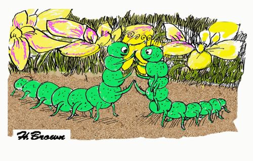 Centipede High Fives.