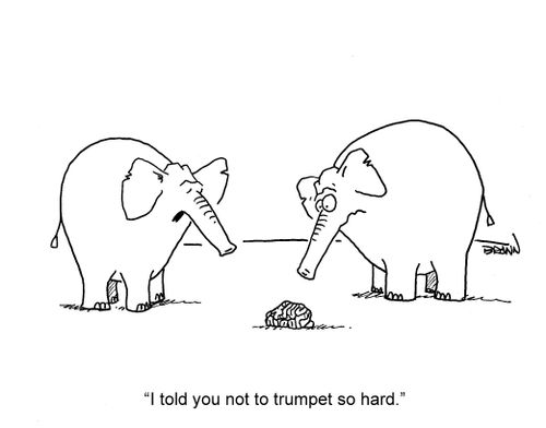 'I told you not to trumpet so hard.'