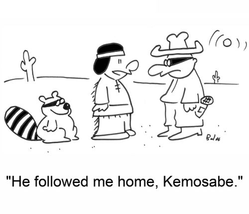 'He followed me home, Kemosabe,'