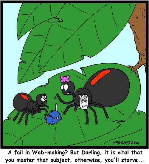 'A fail in Web-making? But Darling, it is vital that you master that subject, otherwise, you'll starve...'
