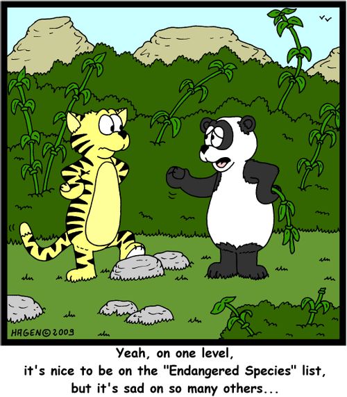 'Yeah, on one level, it's nice to be on the 'Endangered Species' list, but it's sad on so many others...'